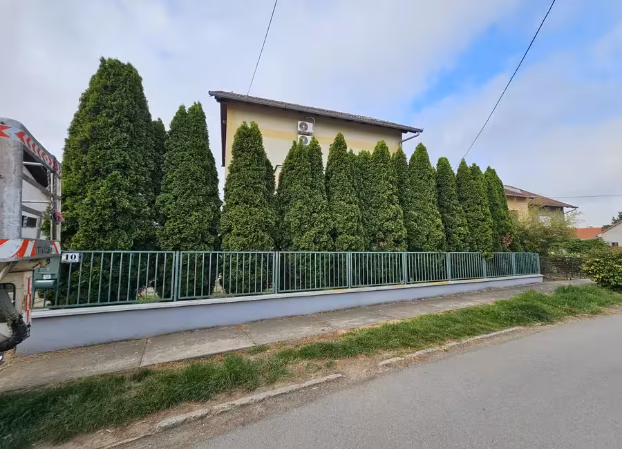 Uredno oblikovana živa ograda