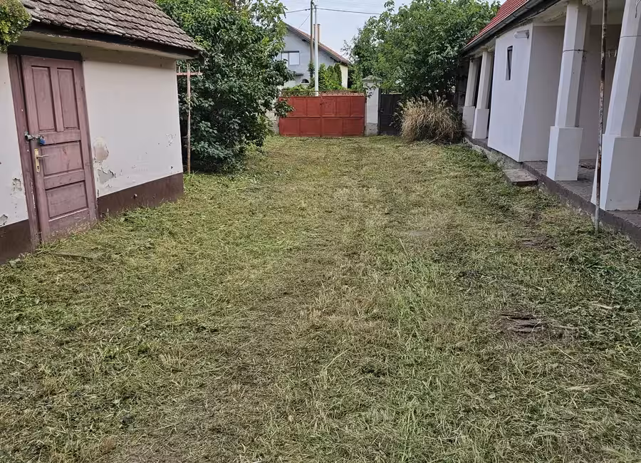 Završno košenje i čišćenje terena
