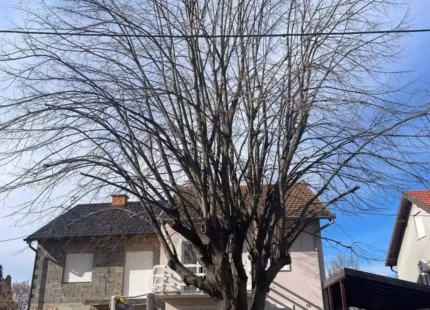 Čiste staze, prilazi i beton